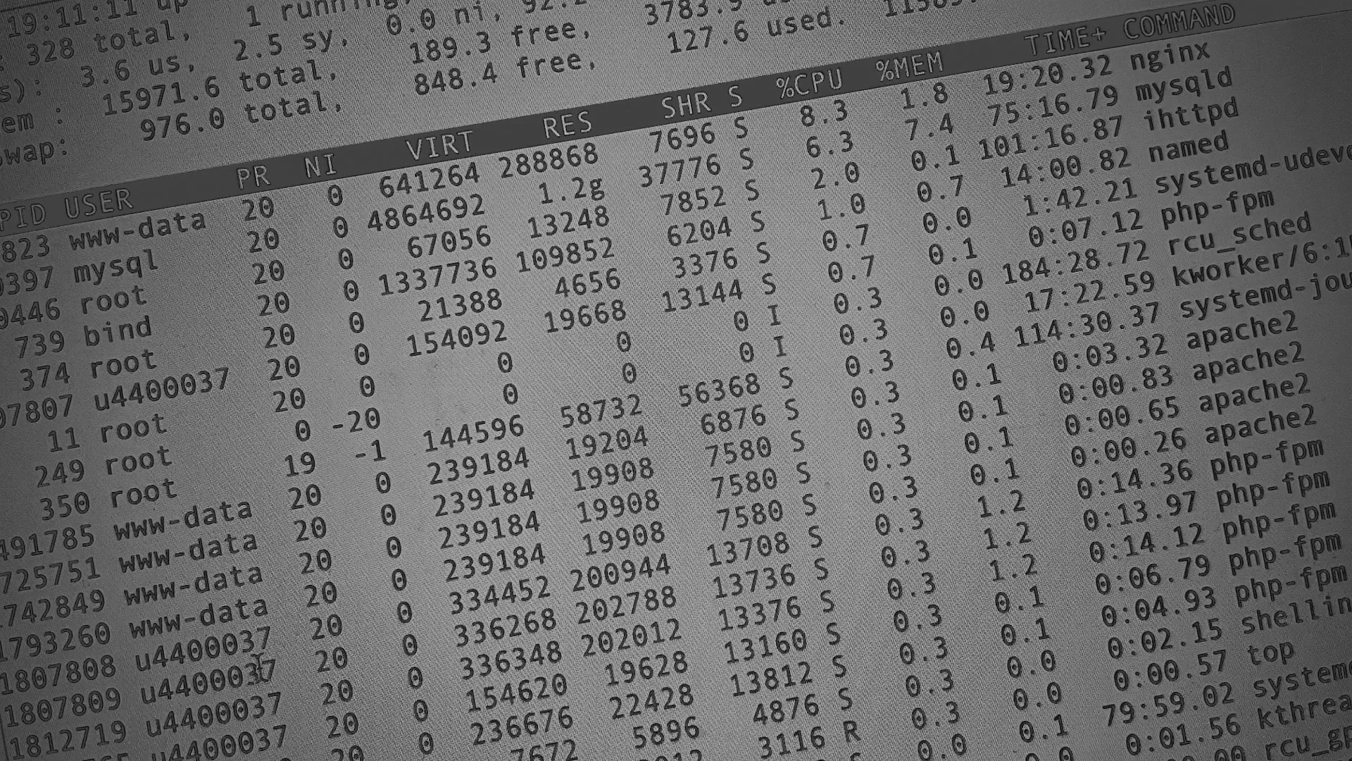 Настройка сервера в Малоярославце