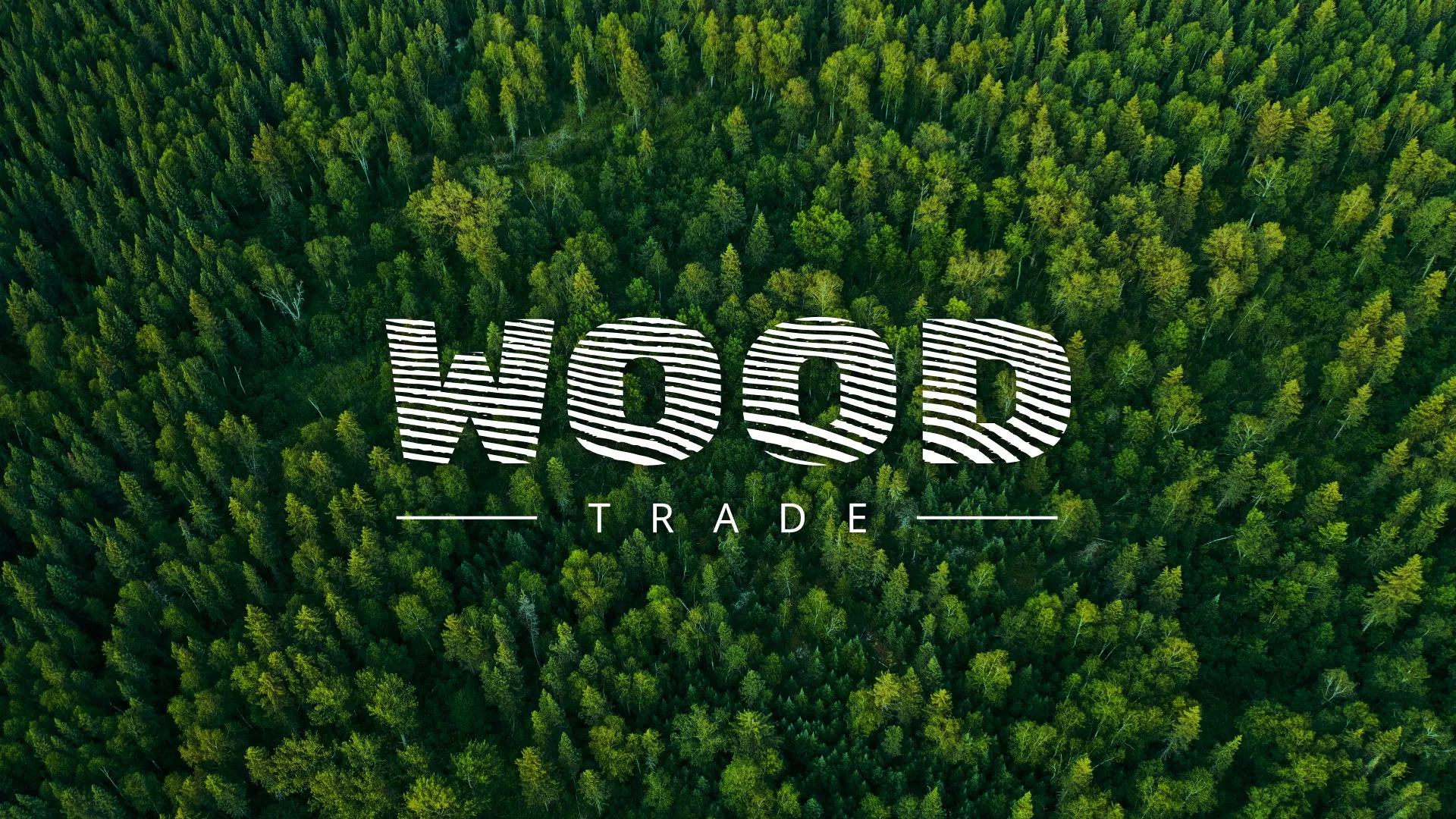 Разработка интернет-магазина компании «Wood Trade» в Малоярославце