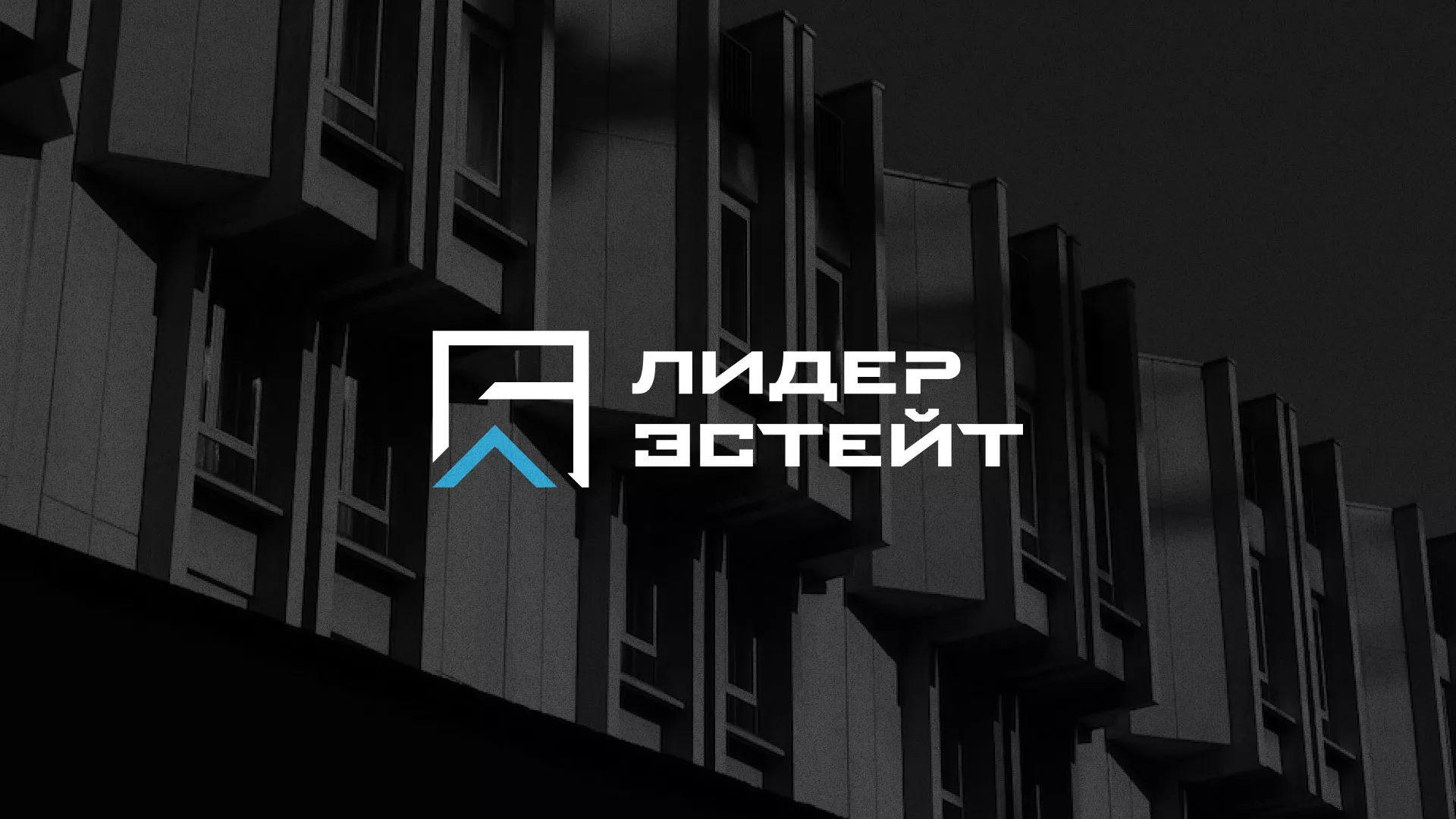Разработка логотипа агентства недвижимости «Лидер Эстейт» в Малоярославце